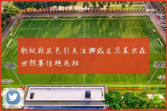 豹纹新发色引关注挪威后卫莱尔森世预赛惊艳亮相