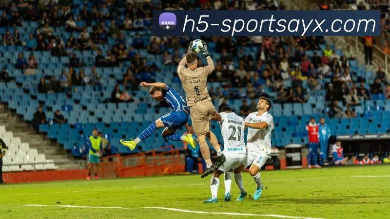 爱游戏发展历程