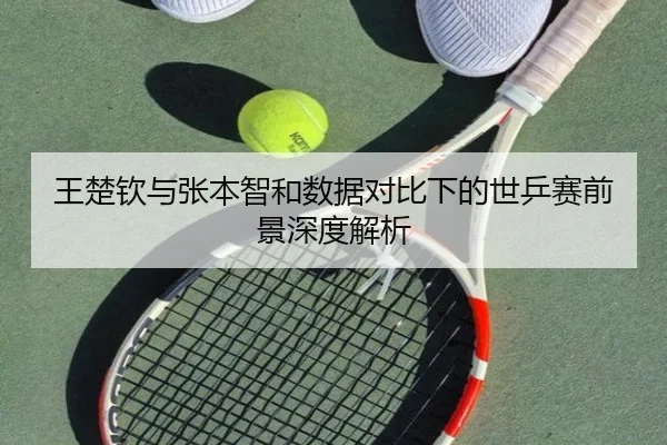 王楚钦与张本智和数据对比下的世乒赛前景深度解析